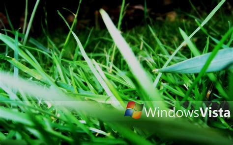 Windows Vista Grass Wallpaper By Valorieketlyn On Deviantart