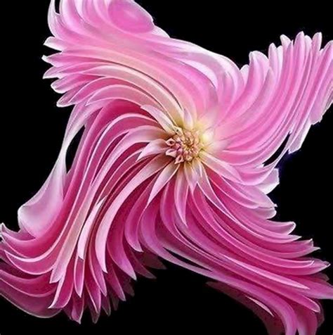 Most Unique Flowers Instagram 9 Worlds Most Unusual Flowers