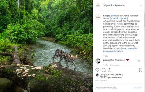 National Geographic Publishes Spectacular Photo Taken In Costa Rica