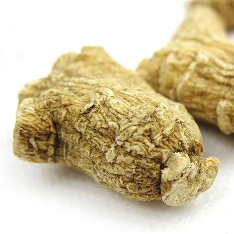 Dried American Ginseng Root G About Roots Panax Etsy
