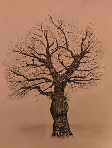 Drawing An Inspiring Tree Christina French