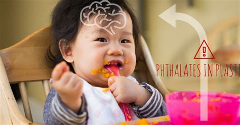 Phthalates And Your Babys Brain And Gender Development Healthy