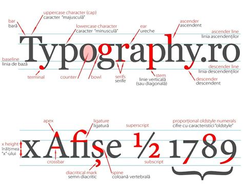 Pin By Melon On Graphic Design Anatomy Of Typography Type Anatomy