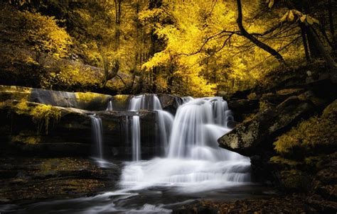 Wallpaper Autumn Forest River Waterfall Cascade Georgia Ga