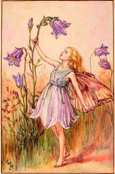 Flower Fairies Of The Summer Fairy Paintings Fairy Drawings Fairy
