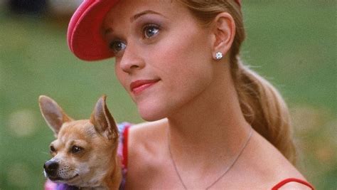 Legally Blonde Turns 20 Harvard Law Students On How Movie Inspires