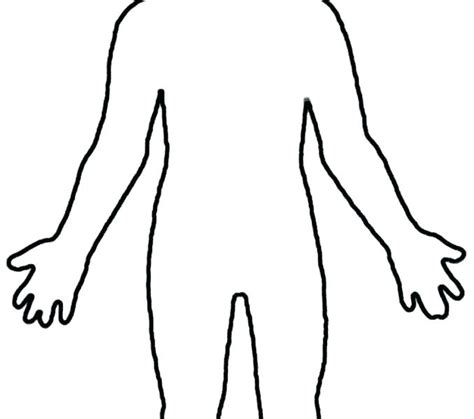 Blank Drawing Of Human Body At Explore Collection