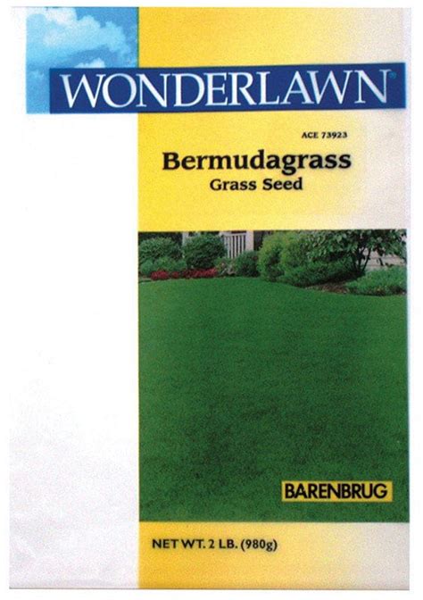 Barenbrug Unhulled Bermuda Grass Seed Walmart