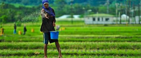 Enam belas peratus daripada penduduk malaysia bekerja melalui sejenis pertanian. Pertanian Organik di Malaysia - Belajar Pertanian Organik