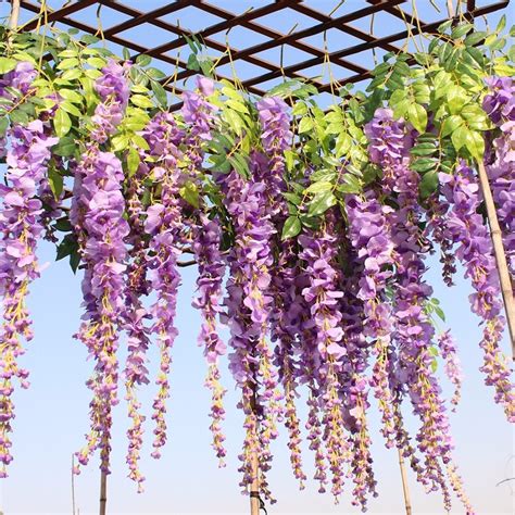 Silk Wisteria Flower Vines Gardens Gadgets And Home Decor