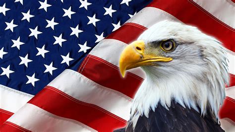 North American Bald Eagle On American Flag Cremation Services