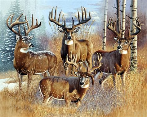 Four Big Whitetail Bucks Deer 0136 36 Panel