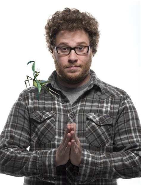 Seth Rogen Mantis Kung Fu Panda Photo 1485133 Fanpop