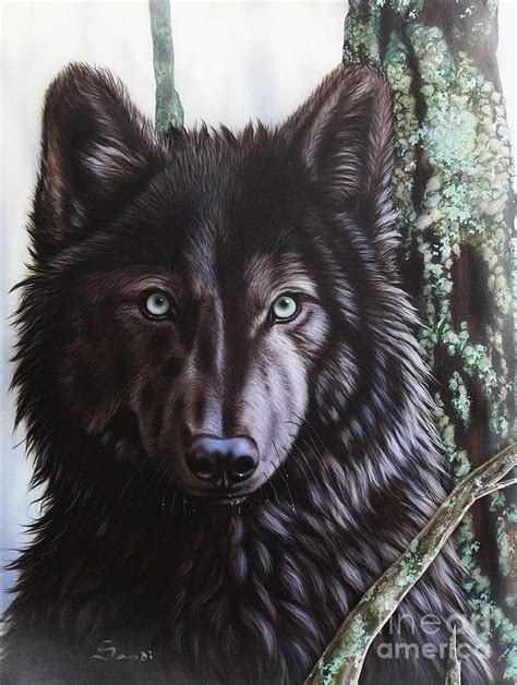Black Wolf Painting By Sandi Baker