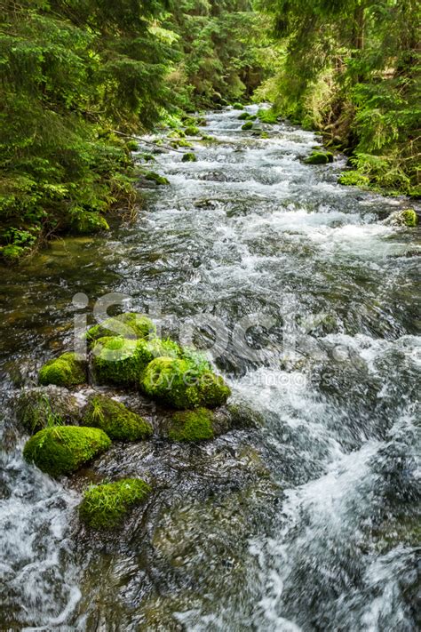 Rushing Mountain Stream In The Forest Stock Photos