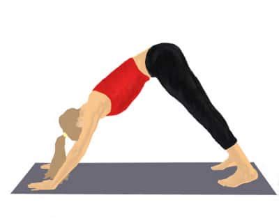 Aug 03, 2015 · the respiratory system in humans, dogs, and other pets is a series of tracts and organs responsible for respiration, without which life would not be possible. Downward Facing Dog - Fix Flat Feet