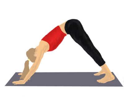 What muscles do downward dog work? Downward Facing Dog - Fix Flat Feet