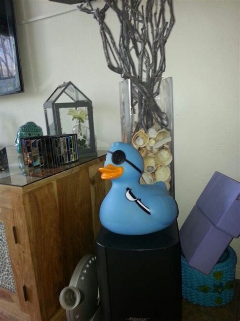 Pin By Orly׳s On Badeend Trash Can Canning Duck