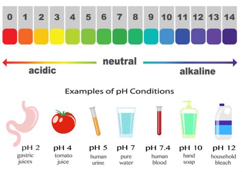 Definition Of Ph Scale In Chemistry Chemswotcom