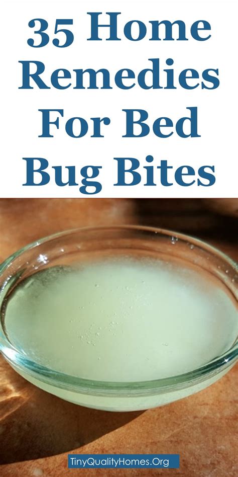 Remedies For Bed Bugs Bites Bed Bug Get Rid