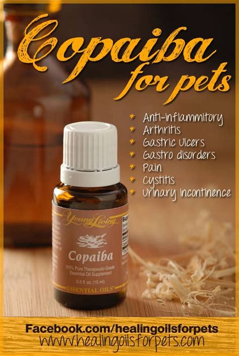 Copaiba is woefully underrepresented in most texts. Young Living Copaiba for pets | Essential Oils | Pinterest ...