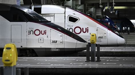 Chat Cras Par Un Tgv La Gare Montparnasse La Sncf Devant La