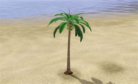 Sims 4 Leaning Palm Tree Mod The Sims Harvestable Coconut Palm