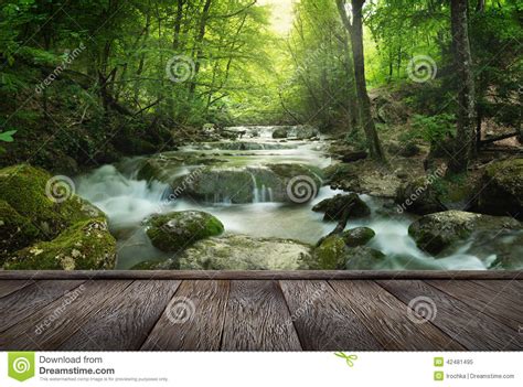 Forest Waterfall Stock Image Image Of Stone Tropical 42481495