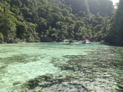 Green Lagoon Coron 2020 All You Need To Know Before You Go With