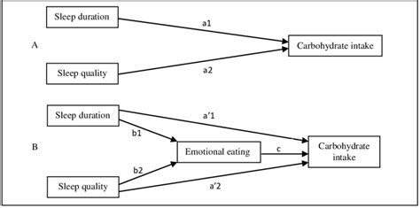 Hypothesized Mediation Model A Theoretical Model Of Sleep Duration