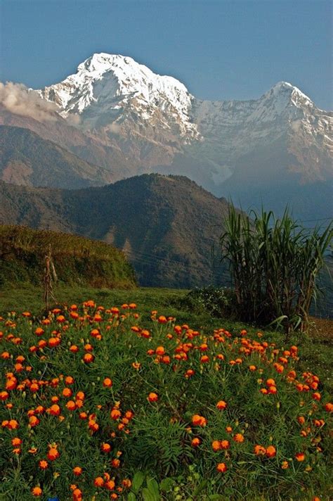 Beautiful Scenery Of Nepal