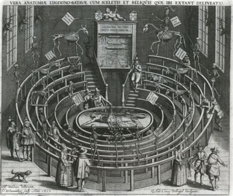 17th Century Anatomical Theater At Leiden Biomedical Ephemera Or