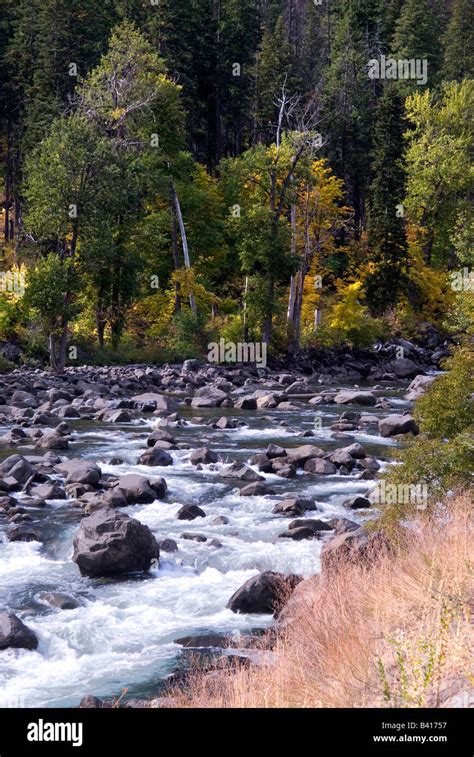 Wenatchee Nf Hi Res Stock Photography And Images Alamy