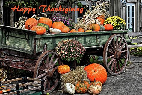 Happy Thanksgiving From The Farm Photograph By Maria Keady Fine Art