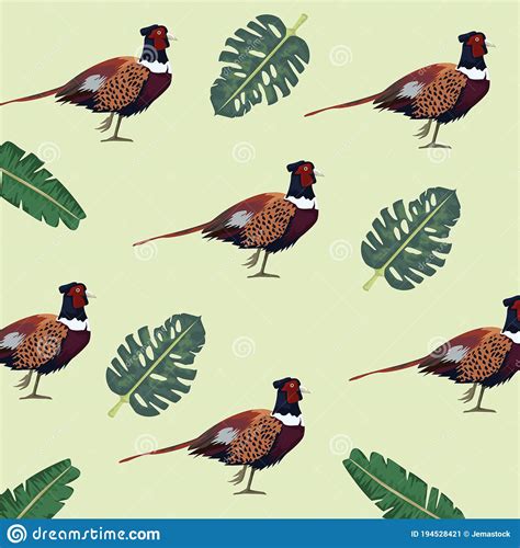 Pheasants Cartoons Illustrations And Vector Stock Images 142 Pictures