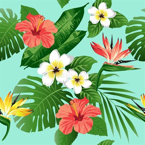 Tropical Leaves Background Stock Illustrations 250171 Tropical