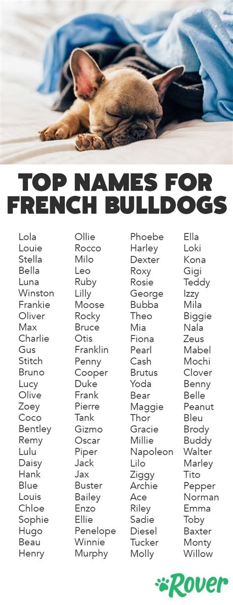 The 116 Most Popular French Bulldog Names Of 2020 French