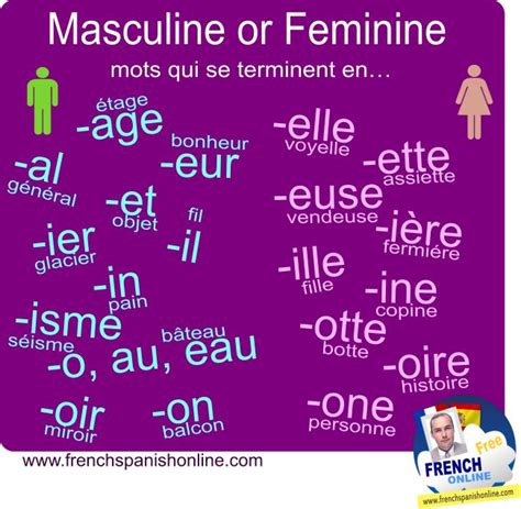 Masculine Or Feminine Gender Learn French Online French Expressions Grammaire Immersion En