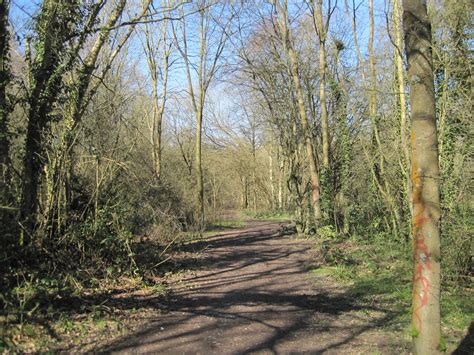 Filecrofton Wood Path Wikimedia Commons