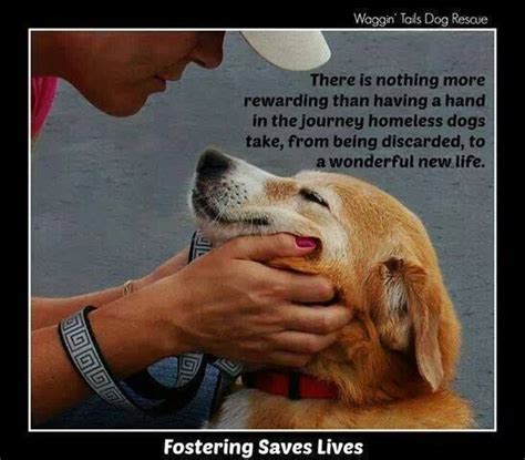 Nothing More Rewarding Homeless Dogs Rescue Dogs Dog Quotes