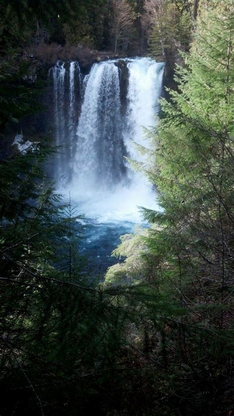 Sahalie falls, Oregon (With images) | Beautiful places, Favorite places, Great places