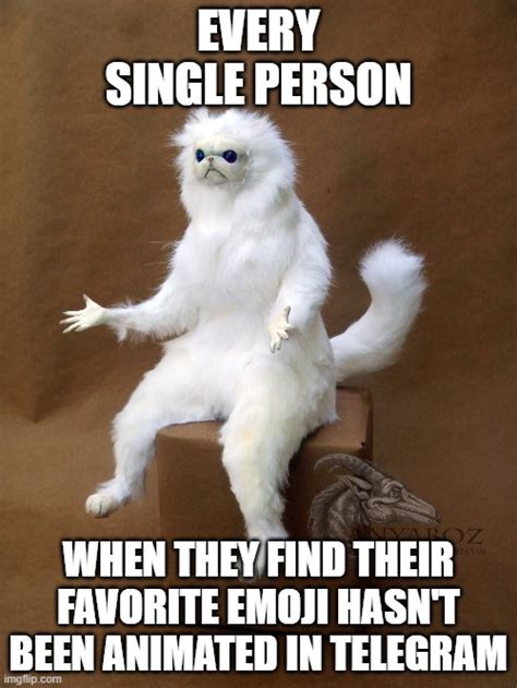 Persian Cat Room Guardian Single Meme Imgflip