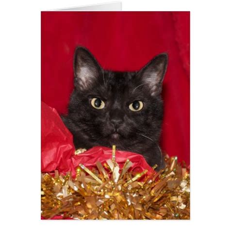 Black Cat Christmas Cards Photo Card Templates