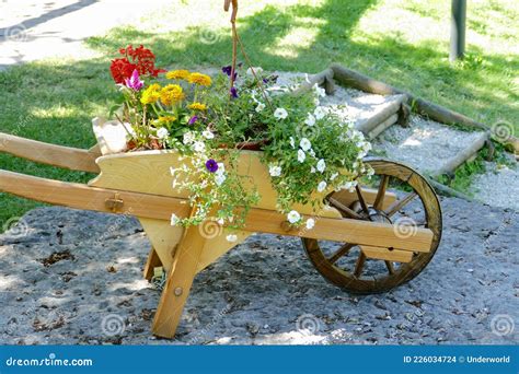 Decorative Wooden Wheelbarrow With Flowers Stock Photo Image Of