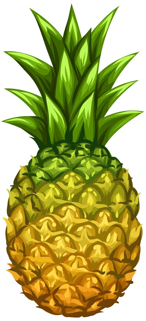 Clip Art Pineapple 20 Free Cliparts Download Images On Clipground 2024