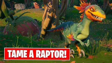 How To Tame A Raptor The Easiest Best Way In Fortnite Season 6