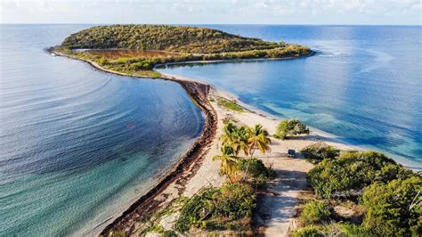 Bio Bay Tour Horseback Rides And Taino Culture In Vieques Puerto Rico