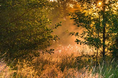 Morning Mists On The Meadows On Behance