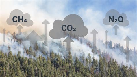 Deforestation And Greenhouse Gases Impact On Global Warming 2023