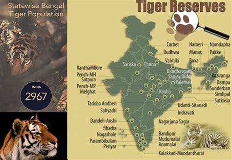 Tiger Reserves Of India For Psc Psc Arivukal
